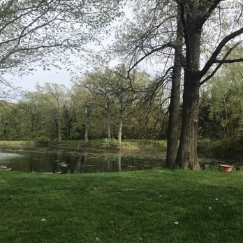 Old Mill Vineyard - Lovely setting to Drink wine in nature! - Wine Tasting Room Near Me - Metamora, Illinois