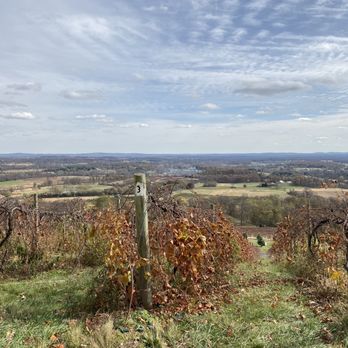 Bluemont Vineyard - Venues & Event Spaces Near Me - Bluemont, Virginia Bluemont Vineyard - Venues & Event Spaces Near Me - Bluemont, Virginia