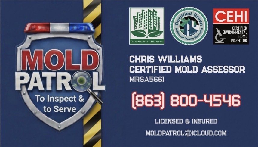 Mold Patrol - mold inspector in Lake Wales, FL
