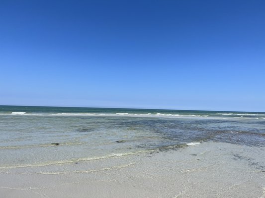 Chapin Memorial Beach by null