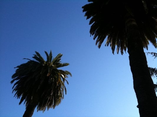 Viña del Mar Park by null