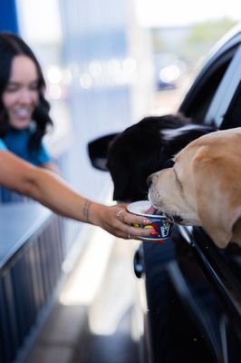 Dutch Bros Coffee by null