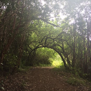 Moanalua Valley Trail - Hiking Near Me - Moanalua, Hawaii Moanalua Valley Trail - Hiking Near Me - Moanalua, Hawaii