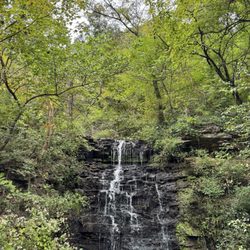 Cove Spring Park