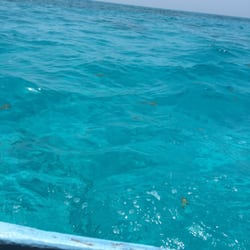 Opca Tours - Crystal clear over water