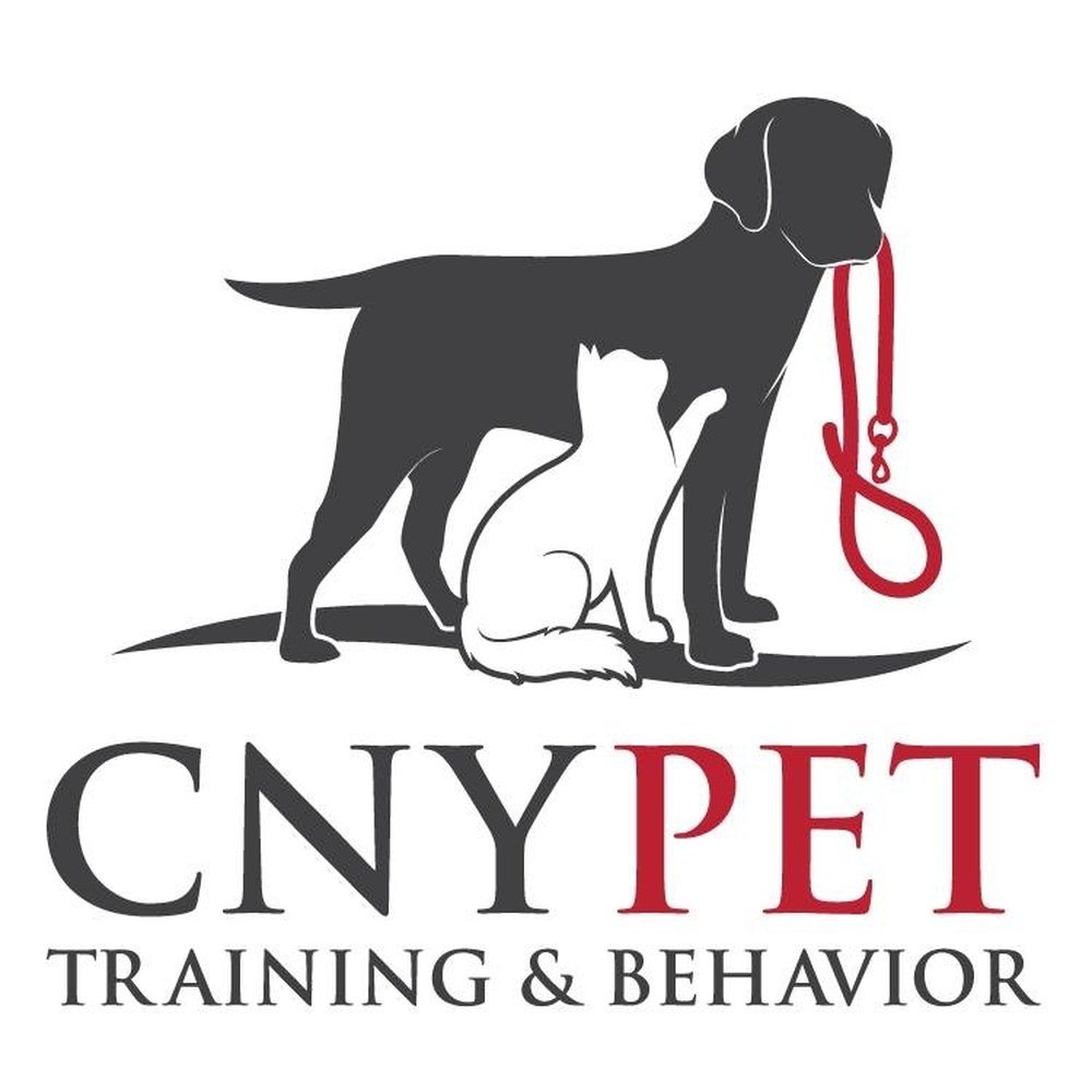 TOP 10 BEST Pet Training in Syracuse, NY - Updated 2026 - Yelp, image size:1000x1000