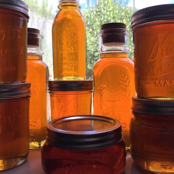 Texas Honey Bee Farm - honey honey honey - Tours Near Me - Austin, Texas Texas Honey Bee Farm - honey honey honey - Tours Near Me - Austin, Texas