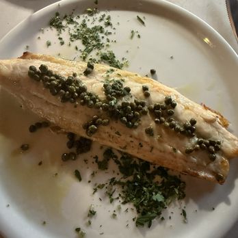 The Amalfi Llama - Branzino - Italian Near Me - San Diego, California The Amalfi Llama - Branzino - Italian Near Me - San Diego, California