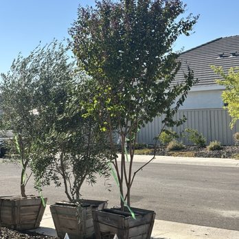 Moon Valley Nurseries - Nurseries & Gardening Near Me - Roseville, California