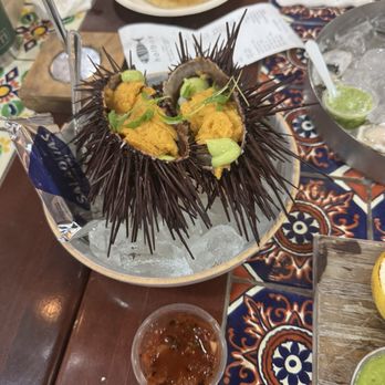Holbox - Uni - Latin American Near Me - Los Angeles, California
