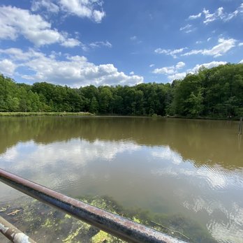 Reedy Creek Park - Parks Near Me - Charlotte, North Carolina Reedy Creek Park - Parks Near Me - Charlotte, North Carolina