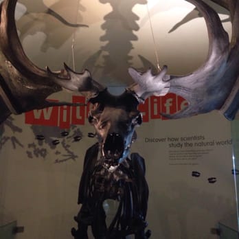 Thinktank - Museums Near Me - Birmingham, XWM Thinktank - Museums Near Me - Birmingham, XWM