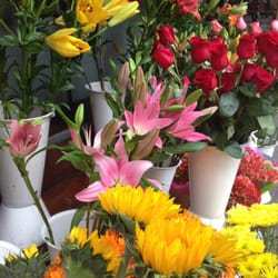 Florería Las Palmas - Flores de primavera