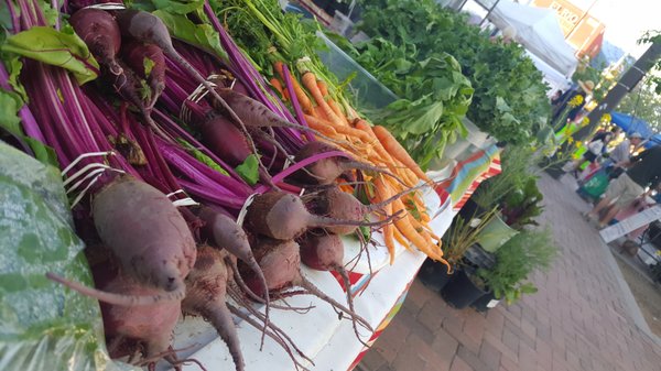 Santa Cruz River Farmers' Market by null
