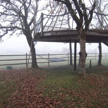 Out'n'About Treehouse Treesort - Hammocks for relaxing! - Hotels Near Me - Cave Junction, Oregon Out'n'About Treehouse Treesort - Hammocks for relaxing! - Hotels Near Me - Cave Junction, Oregon
