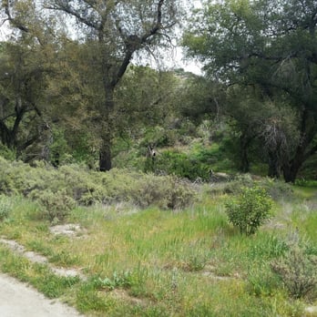 Whiting Ranch Wilderness Park - Parks Near Me - Foothill Ranch, California Whiting Ranch Wilderness Park - Parks Near Me - Foothill Ranch, California