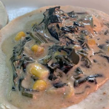 Mr. Taco Bacalar - Cream of spinach taco - Tacos Near Me - Bacalar, ROO Mr. Taco Bacalar - Cream of spinach taco - Tacos Near Me - Bacalar, ROO