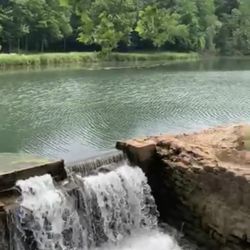Ritter Springs Park