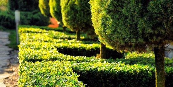 Slide of Carroll Bradford Roofing