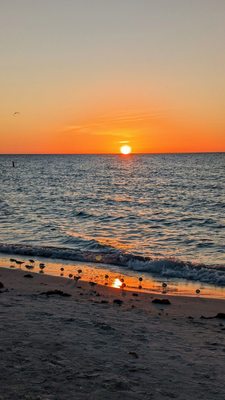 Sand Key Park by null