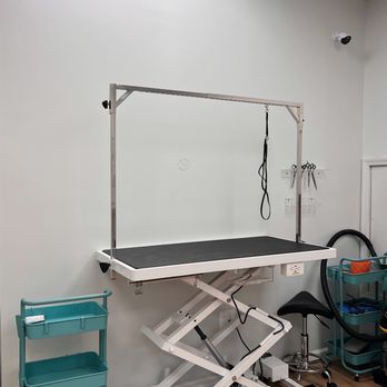 Pet City Grooming - Pet Groomers Near Me - Brooklyn, New York Pet City Grooming - Pet Groomers Near Me - Brooklyn, New York