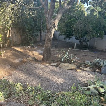 J C Flores Tree Service - After - Tree Services Near Me - Valley Center, California