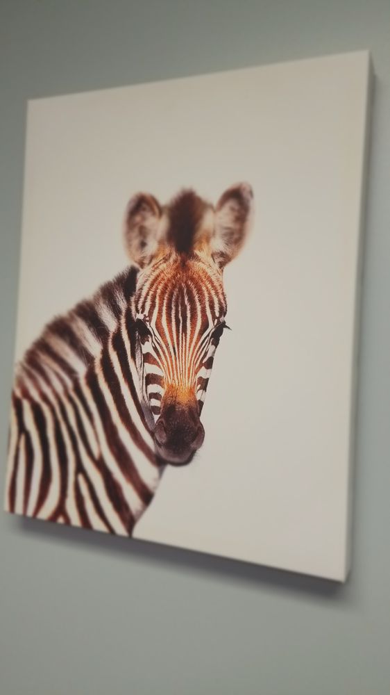 Posh Early Achievers Academy - childcare center in Ridgeland, MS