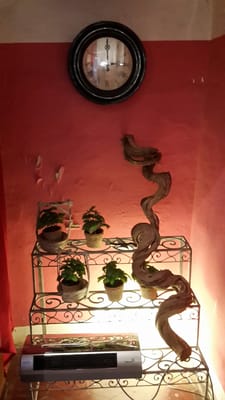 Cuculia by null