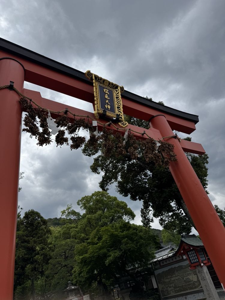 Private Tour Concierge for Kyoto, Nara, Osaka, Kobe & All Japan