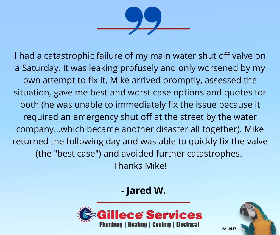 Slide of Gillece Services