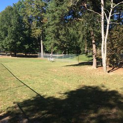 White Plains Dog Park - Clearly there is more than one tree not to mention decently sized.