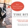 Photo of Tire Biter