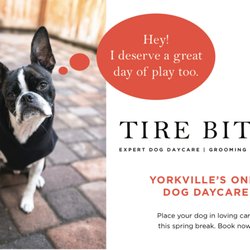 Tire Biter