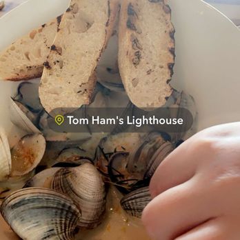 Tom Ham's Lighthouse - Mussels (swap clams) with coconut broth - Breakfast & Brunch Near Me - San Diego, California Tom Ham's Lighthouse - Mussels (swap clams) with coconut broth - Breakfast & Brunch Near Me - San Diego, California