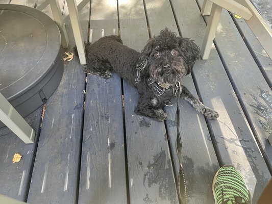 Nostrand Coffee Roasters by null