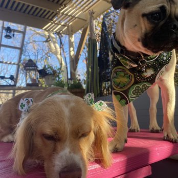 Pet Strands Grooming - Bee and Toby - Pet Groomers Near Me - Orange, California