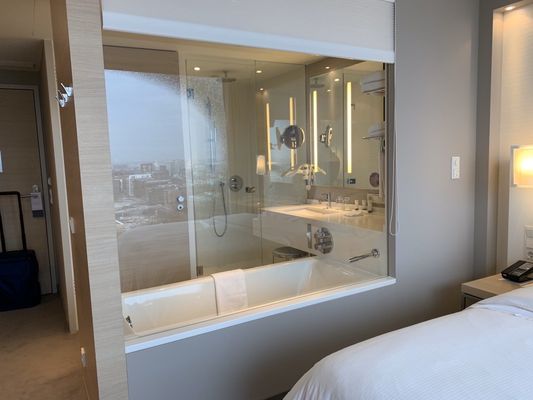 The Westin Hamburg by null