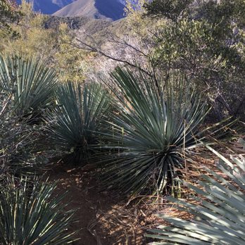 Iron Mountain Via Heaton Flats - Hiking Near Me - Azusa, California