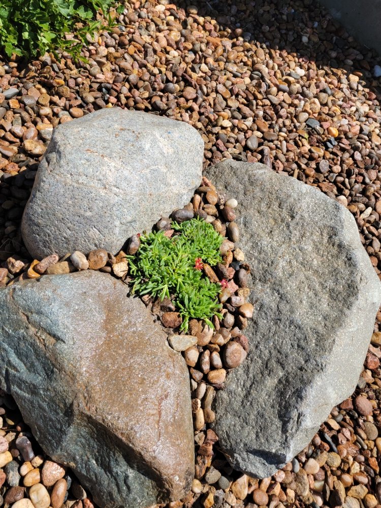 WINKLER IRRIGATION Updated June 2024 35 Photos & 11 Reviews 595