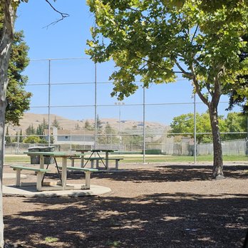 Peter D Gill Memorial Park - Picnic tables and the view from the outfield - Parks Near Me - Milpitas, California