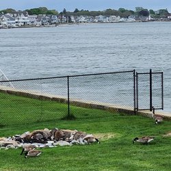 Westbrook Elks Club - View from the rear patio