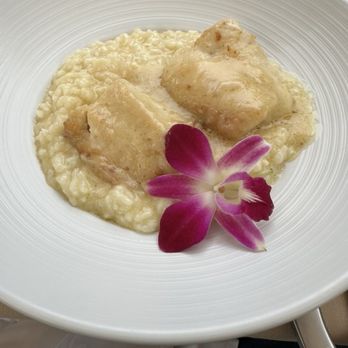 Molto Trattoria - Support - Italian Near Me - Naples, Florida Molto Trattoria - Support - Italian Near Me - Naples, Florida