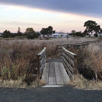 Radke Martinez Regional Shoreline - One of the cross bridges - Parks Near Me - Martinez, California Radke Martinez Regional Shoreline - One of the cross bridges - Parks Near Me - Martinez, California