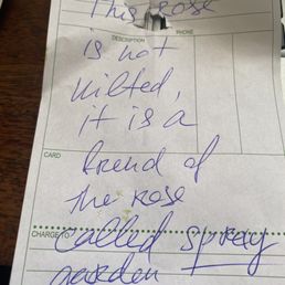 Note attached from the owner indicating the flowers are not wilted. Note attached from the owner indicating the flowers are not wilted.