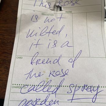 Elena's Flowers - Note attached from the owner indicating the flowers are not wilted. - Florists Near Me - Cleveland, Ohio Elena's Flowers - Note attached from the owner indicating the flowers are not wilted. - Florists Near Me - Cleveland, Ohio
