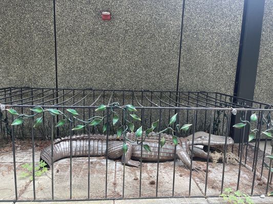 Green River College by null