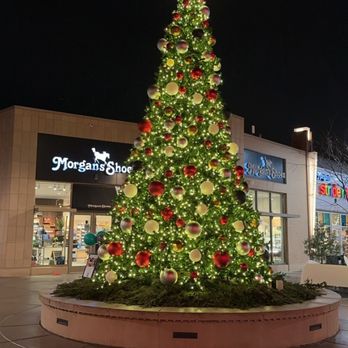 Café Hollander Hilldale - Hilldale Christmas Tree - American Near Me - Madison, Wisconsin Café Hollander Hilldale - Hilldale Christmas Tree - American Near Me - Madison, Wisconsin