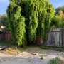 Photo of Fernando's Gardening