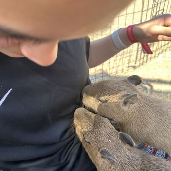 GHOST RANCH EXOTICS AND FUNNY FOOT FARM - Updated March 2026 - 56 ...