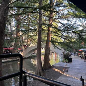 Saltgrass Steak House - View - Steakhouses Near Me - San Antonio, Texas